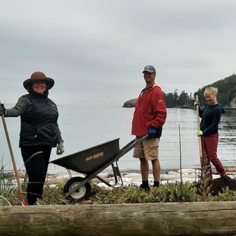 Bowman Bay Nearshore Restoration