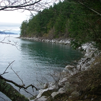 Shannon Point Nearshore Restoration