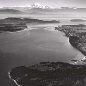 Drift Cell Analysis and Restoration Prioritization