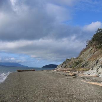 Marine Shoreline Protection Assessment